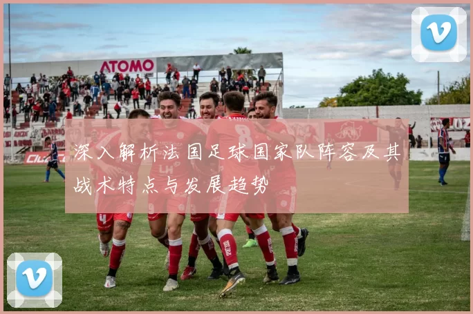 深入解析法国足球国家队阵容及其战术特点与发展趋势