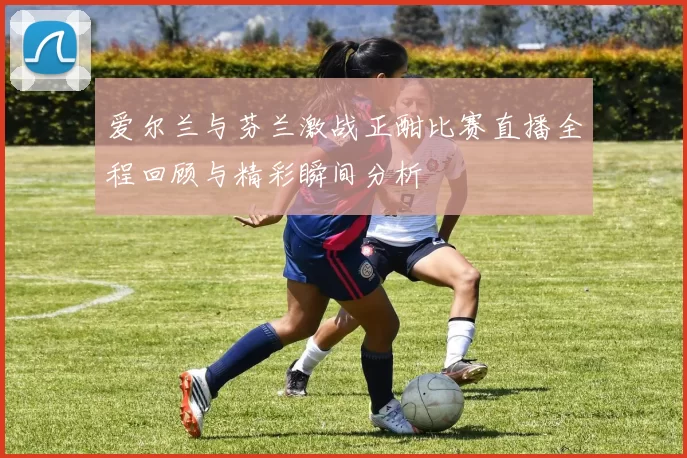 爱尔兰与芬兰激战正酣比赛直播全程回顾与精彩瞬间分析