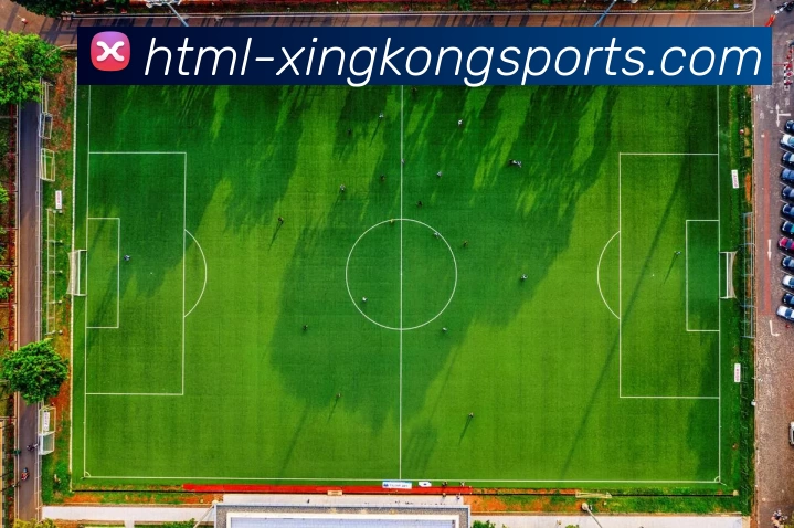 App Interface Preview
