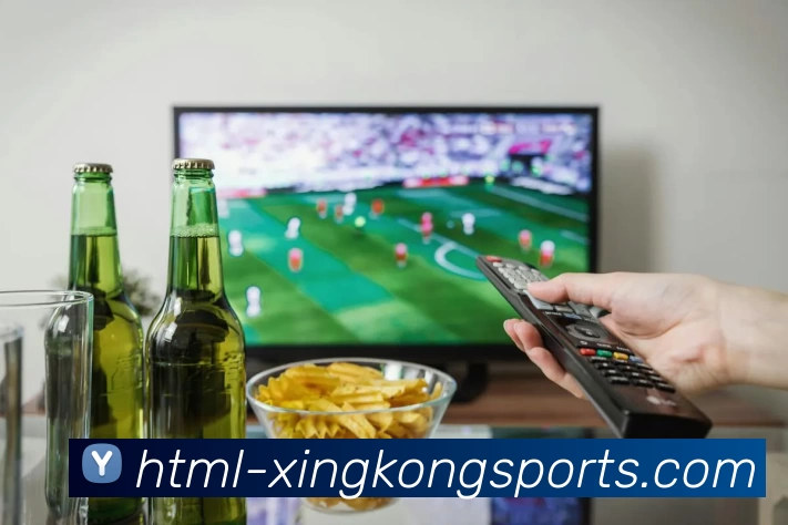 星空体育APP 封面图