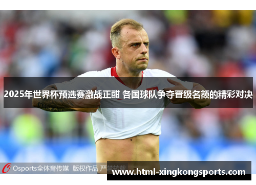 2025年世界杯预选赛激战正酣 各国球队争夺晋级名额的精彩对决