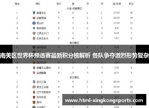 南美区世界杯预选赛最新积分榜解析 各队争夺激烈形势复杂