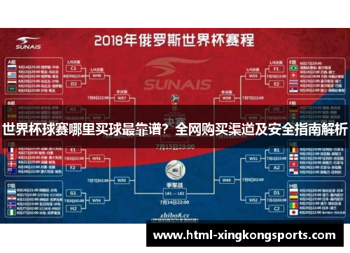 世界杯球赛哪里买球最靠谱？全网购买渠道及安全指南解析