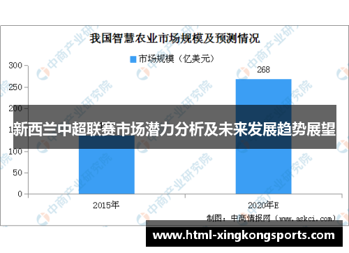 新西兰中超联赛市场潜力分析及未来发展趋势展望
