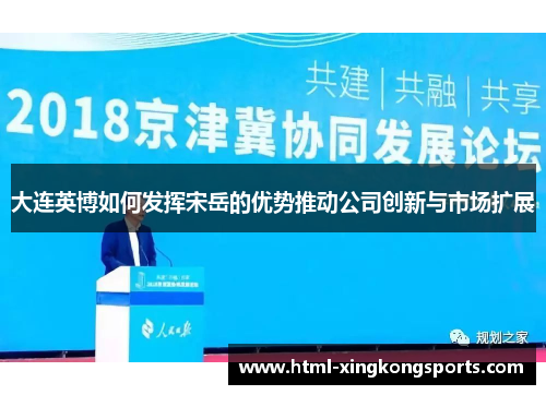 大连英博如何发挥宋岳的优势推动公司创新与市场扩展