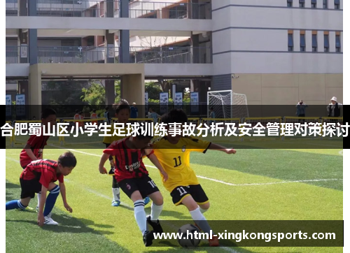 合肥蜀山区小学生足球训练事故分析及安全管理对策探讨