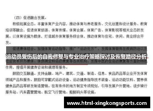 运动员受伤后的自我修复与专业治疗策略探讨及恢复路径分析