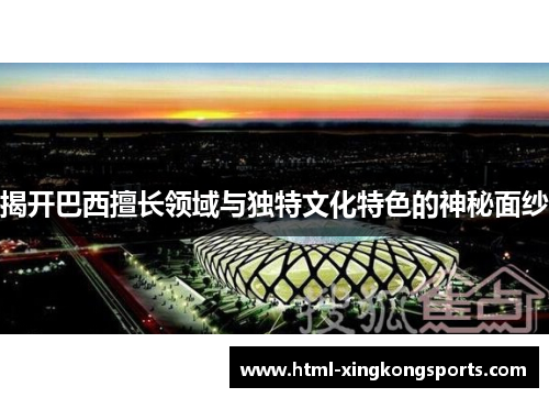 揭开巴西擅长领域与独特文化特色的神秘面纱